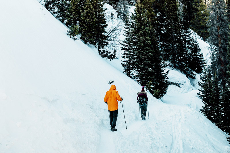Snowshoe Hike Rocky Mountain National Park - Top 15 Things to Do in Winter in Estes Park, Colorado | Explore Estes Park
